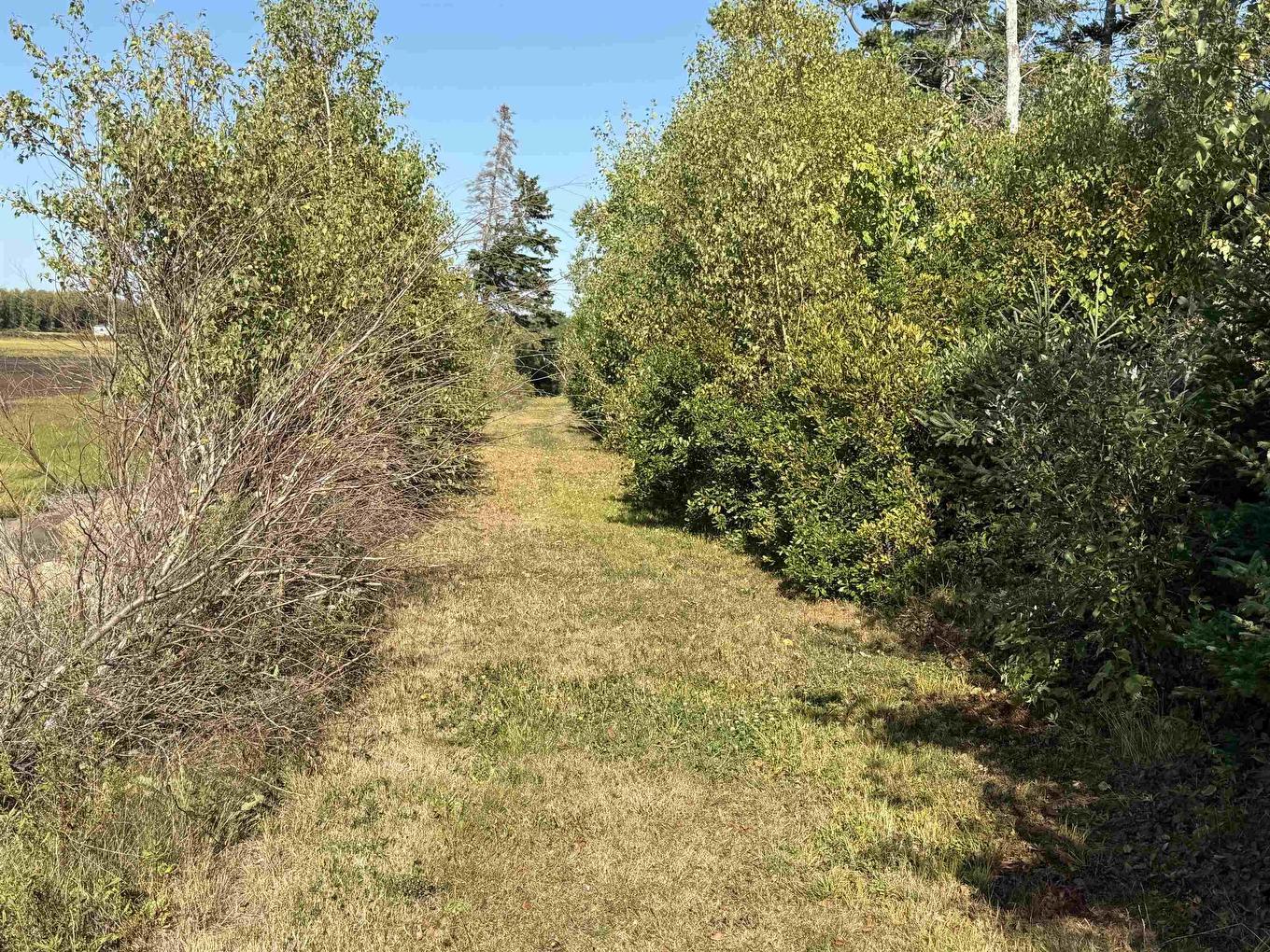 3 Island Rd Extension, Malagash, NS