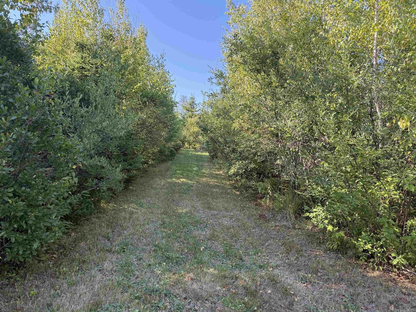 3 Island Rd Extension, Malagash, NS