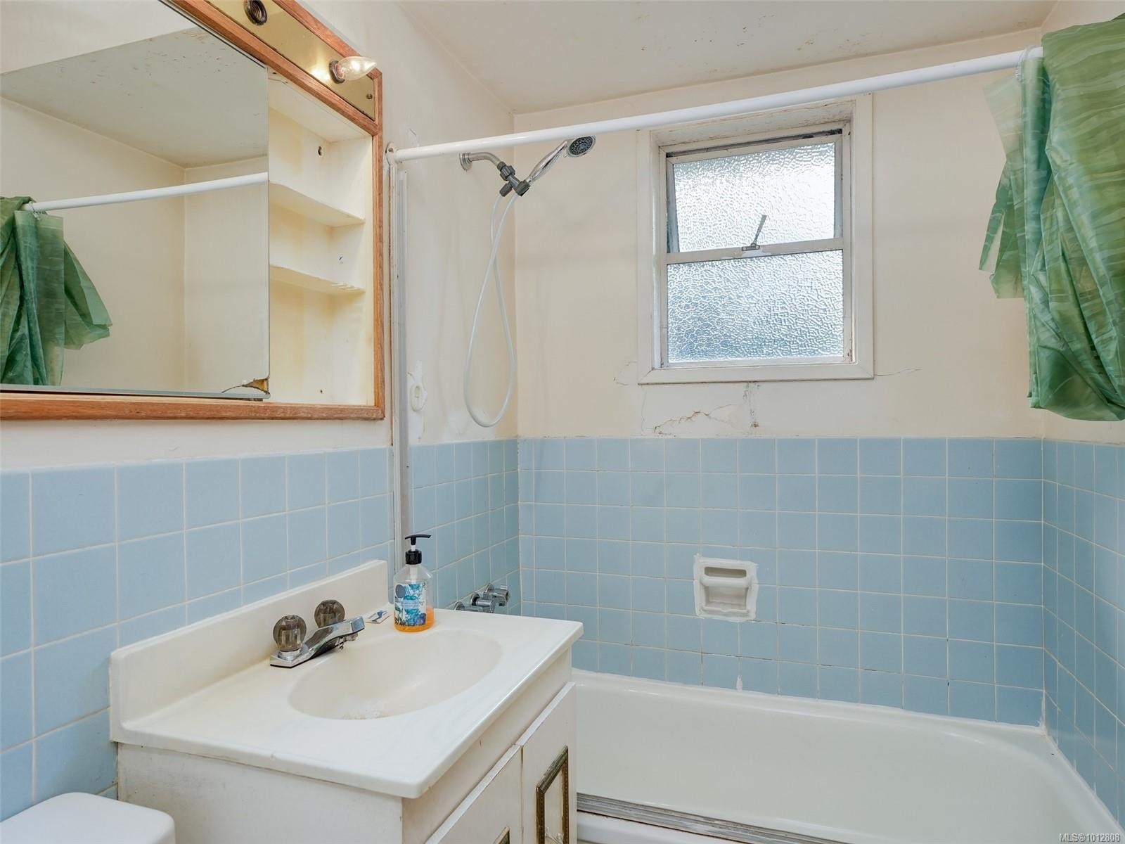 723 Genevieve Rd, Saanich, BC