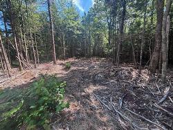 11A Nicholas Drive Hammonds Plains, NS B4B 1M9