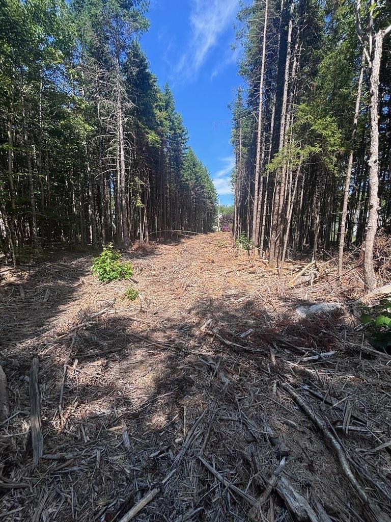 11A Nicholas Drive, Hammonds Plains, NS