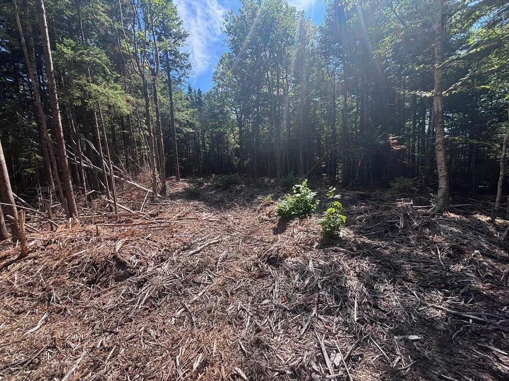 11A Nicholas Drive, Hammonds Plains, NS