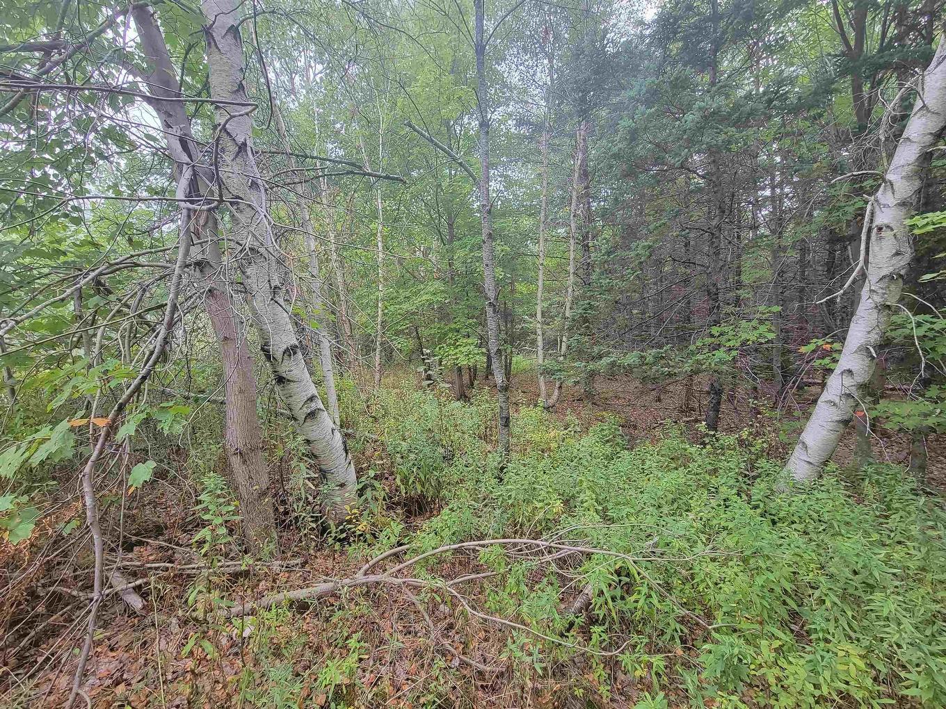 Lot 1 Wilson Road, Upper Rawdon, NS