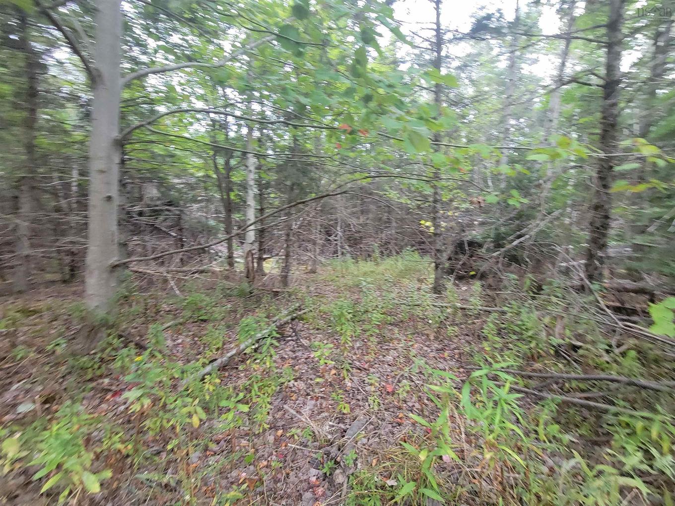 Lot 1 Wilson Road, Upper Rawdon, NS