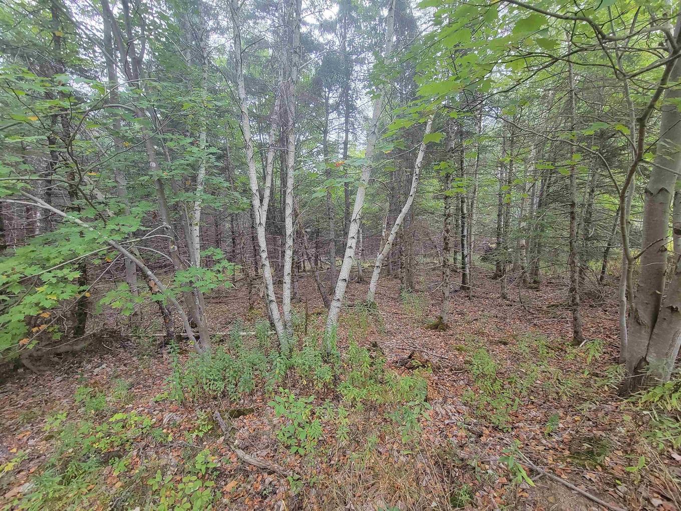 Lot 1 Wilson Road, Upper Rawdon, NS