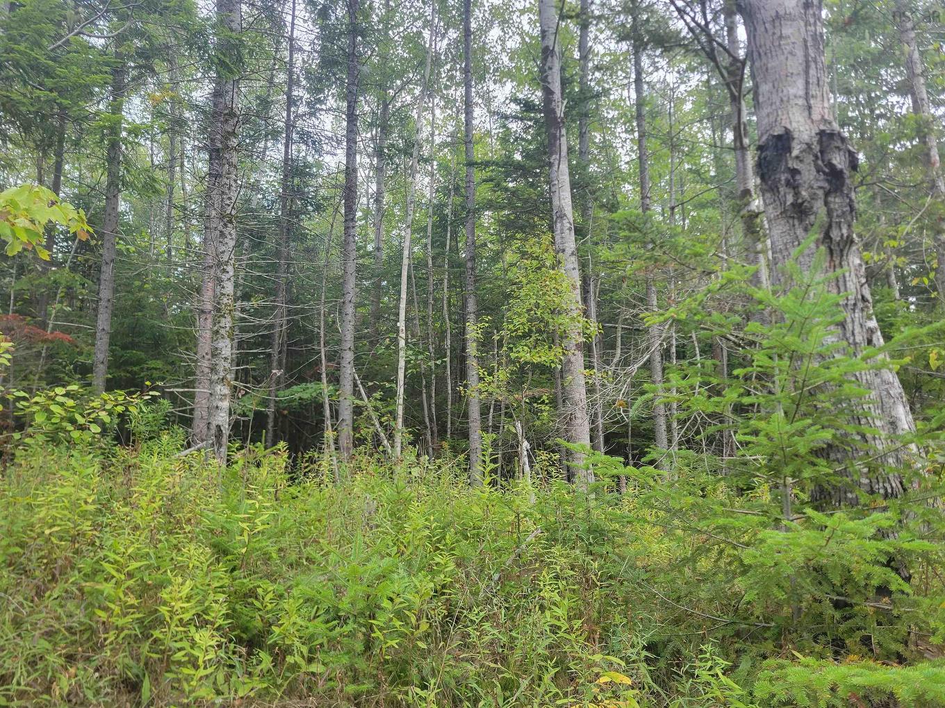 Lot 2 Wilson Road, Upper Rawdon, NS