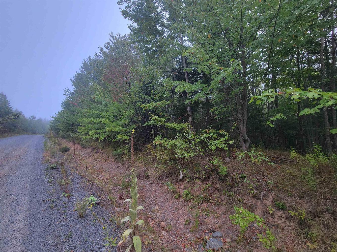 Lot 2 Wilson Road, Upper Rawdon, NS