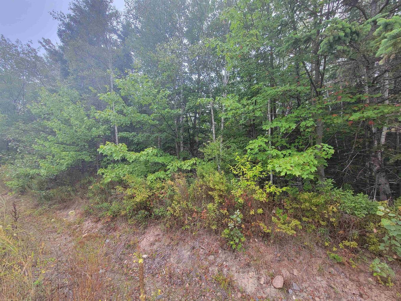 Lot 2 Wilson Road, Upper Rawdon, NS