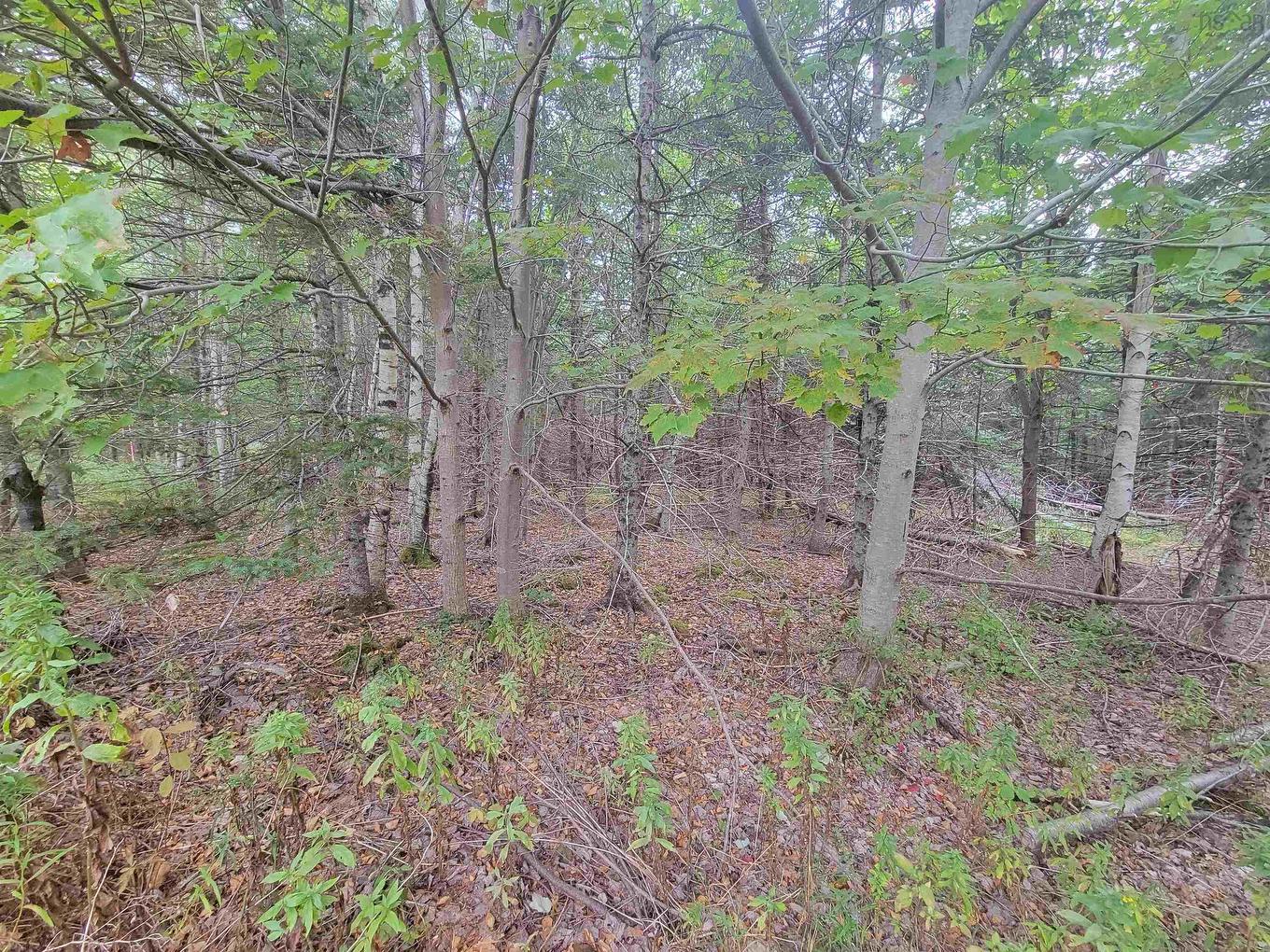 Lot 2 Wilson Road, Upper Rawdon, NS