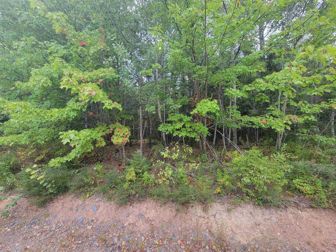 Lot 3 Wilson Drive, Upper Rawdon, NS