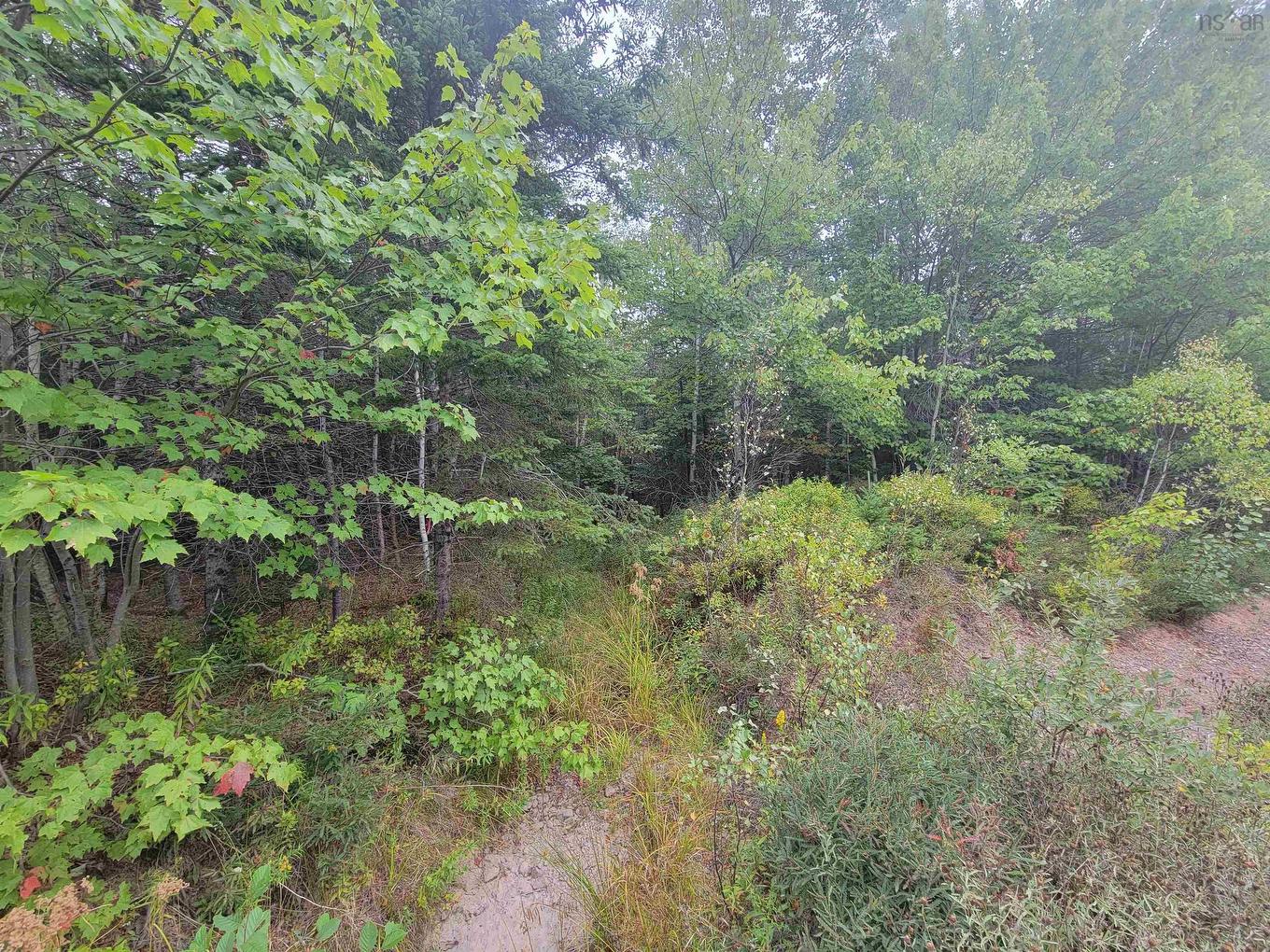 Lot 4 Wilson Drive, Upper Rawdon, NS