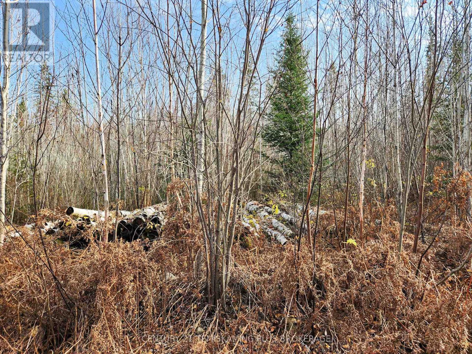 Lot 11 Con 4, Long Lake, Timiskaming (Tim - Outside - Rural), ON