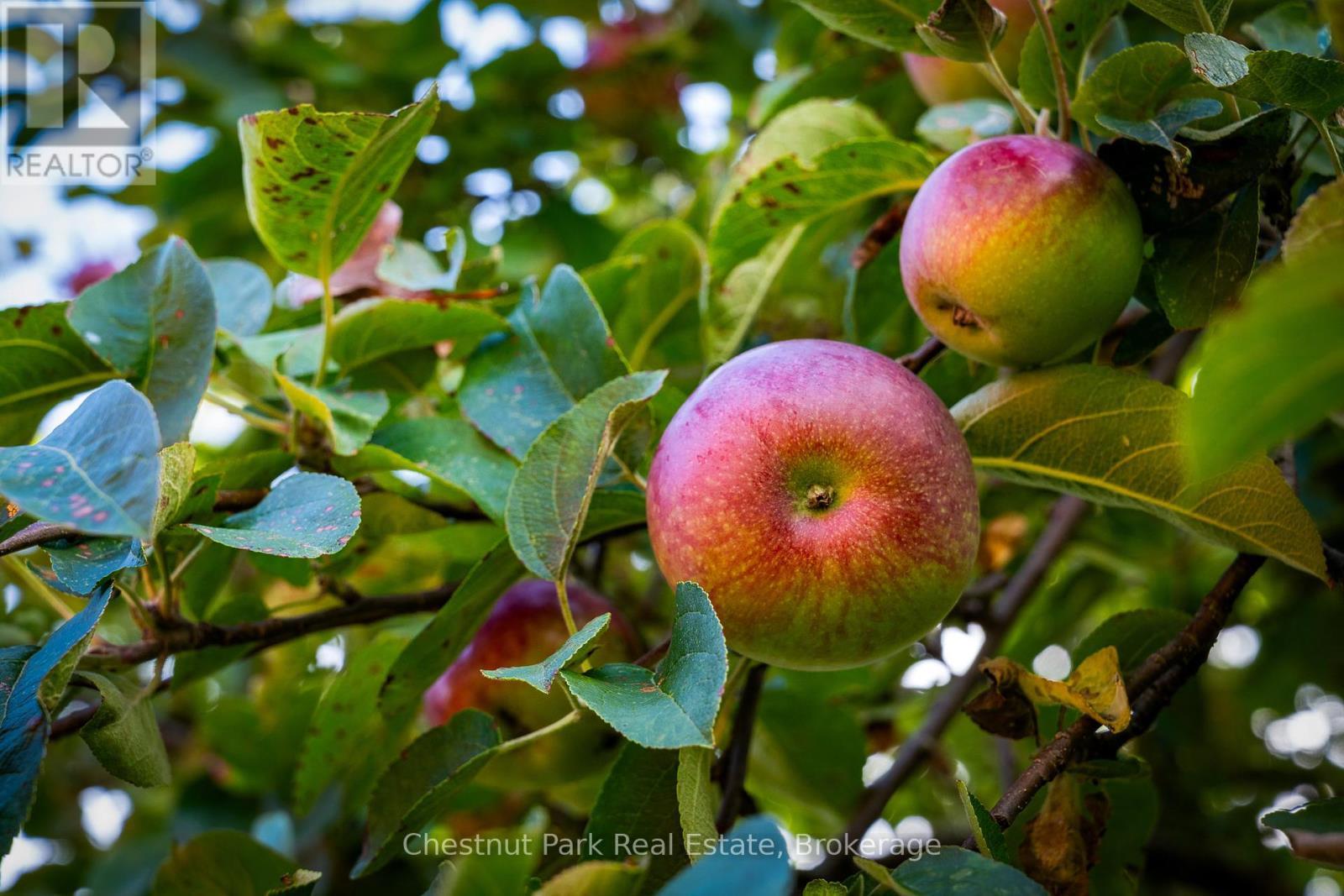 2826 Concession 8 S Nottawasaga, Clearview, ON - Outdoor With View