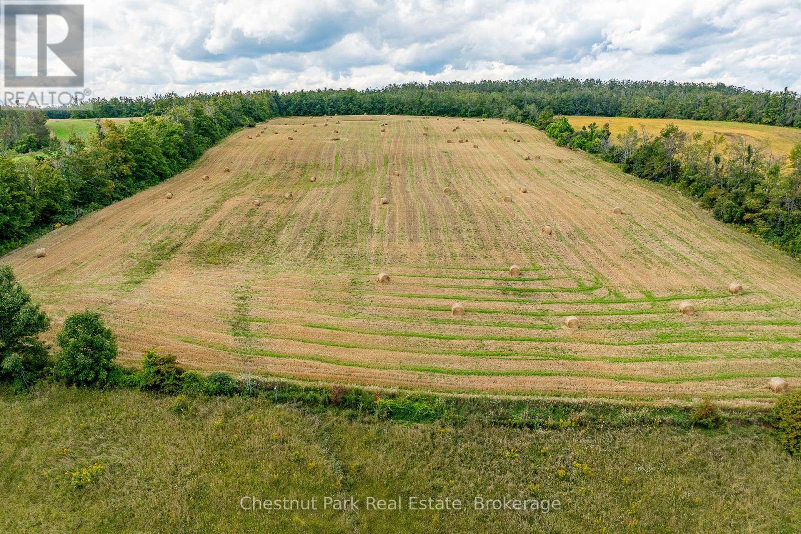 2826 Concession 8 S Nottawasaga, Clearview, ON - Outdoor With View