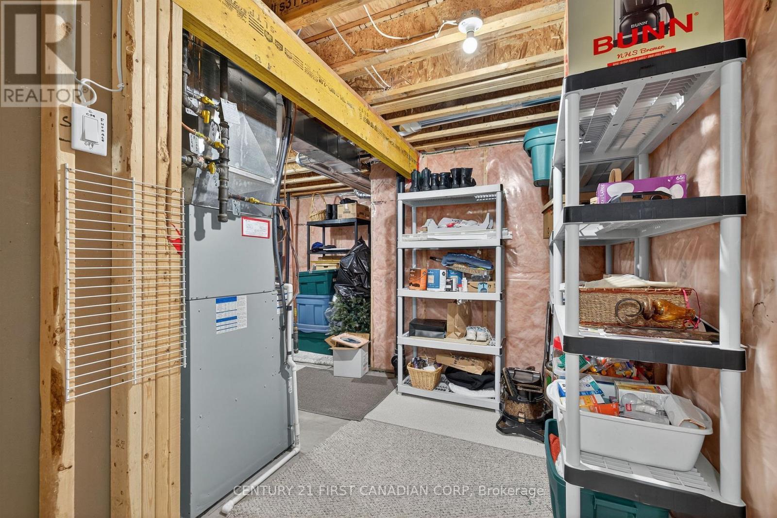 474 Macdonald Street, Strathroy-Caradoc (Ne), ON - Indoor Photo Showing Basement