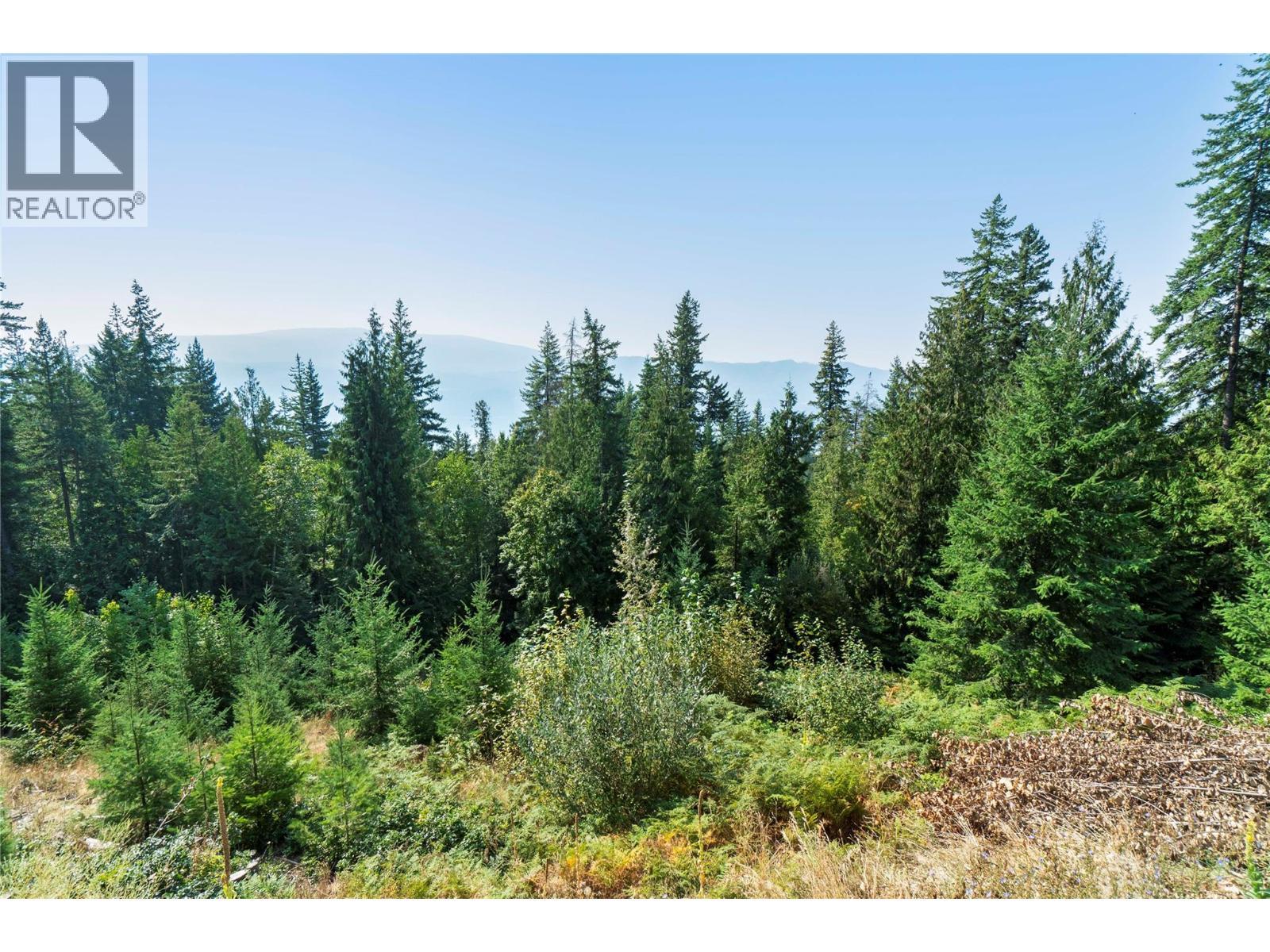 7660 Lichen Road, Anglemont, BC - Outdoor With View
