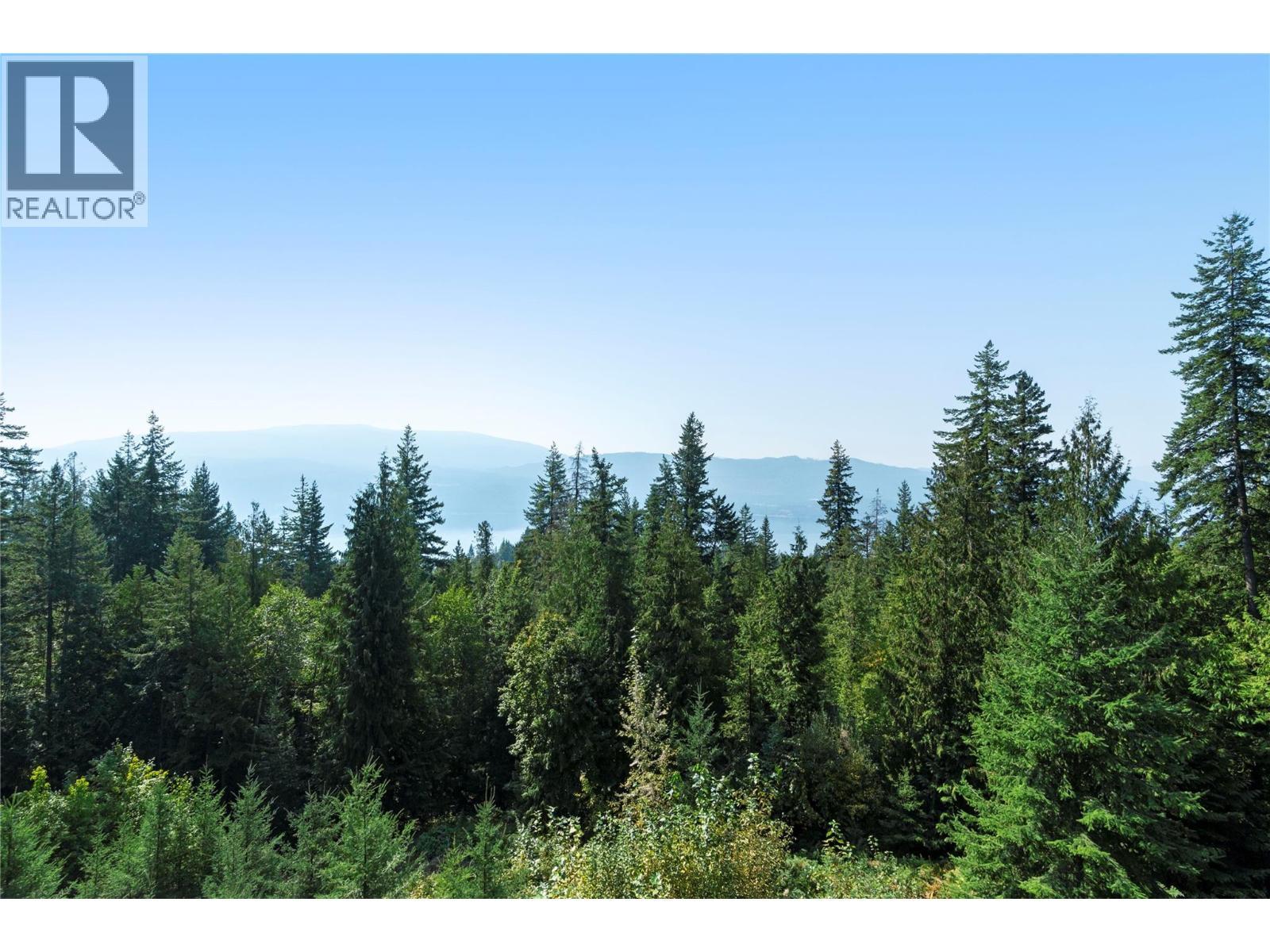 7660 Lichen Road, Anglemont, BC - Outdoor With View