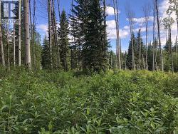 3078 BRADLEY CREEK ROAD 100 Mile House, BC V0K 1M0