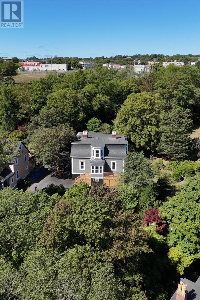 146 Hamilton Avenue, St. John'S, NL - Outdoor With View