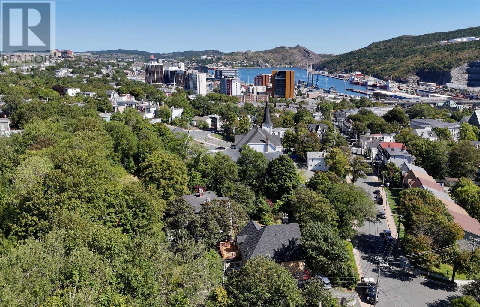 146 Hamilton Avenue, St. John'S, NL - Outdoor With View