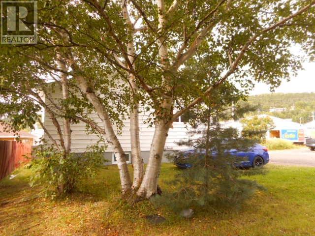 165A Main Street, Springdale, NL - Outdoor With View