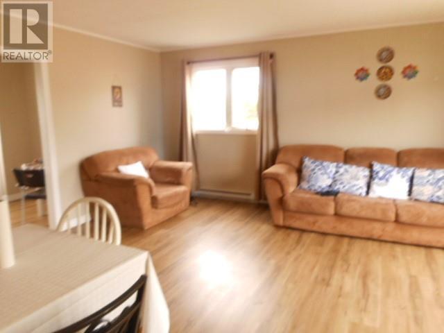 165A Main Street, Springdale, NL - Indoor Photo Showing Living Room