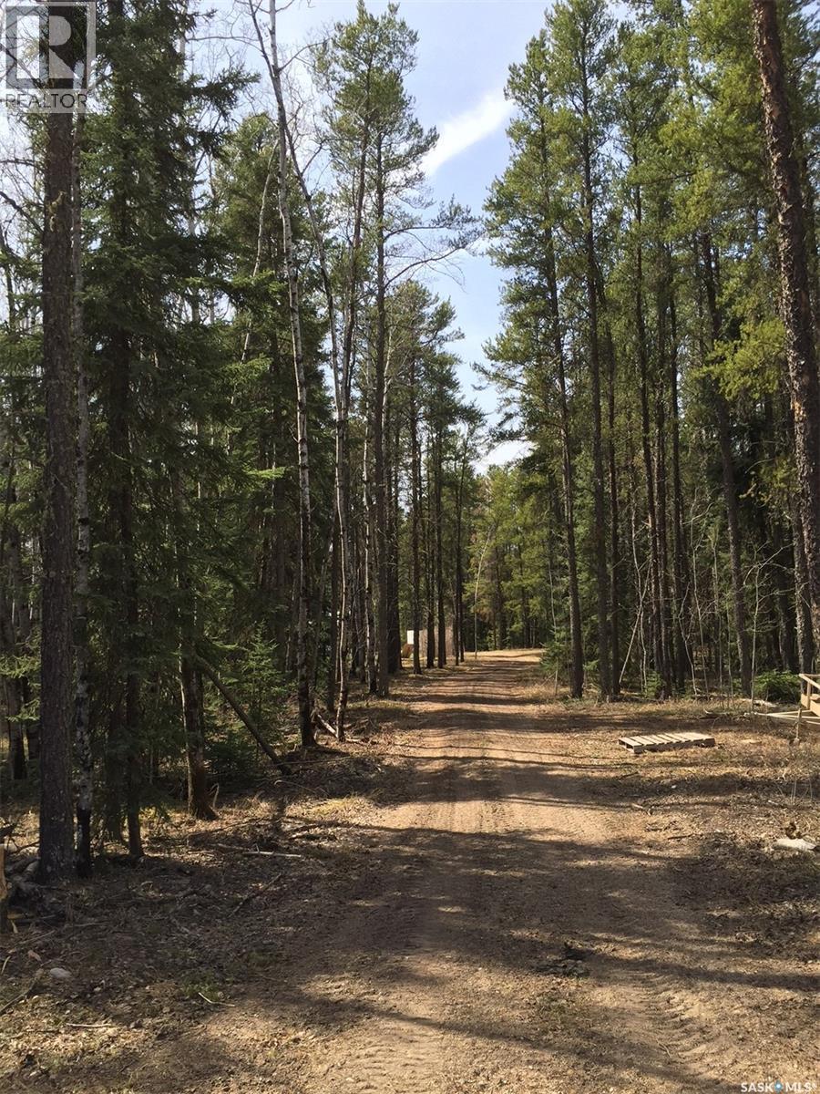 Jennings Ridge Acreage, Hudson Bay Rm No. 394, SK - Outdoor With View