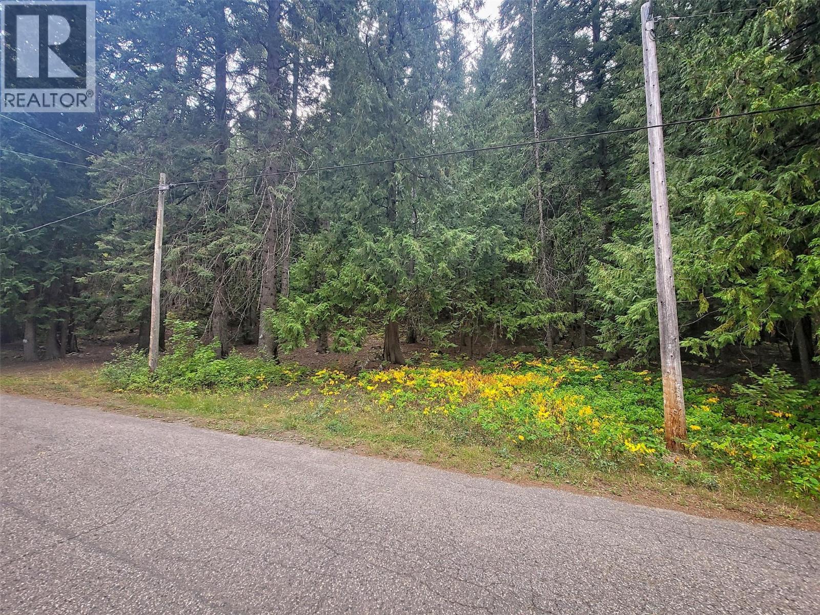Lot A Maclure Avenue, Salmo, BC