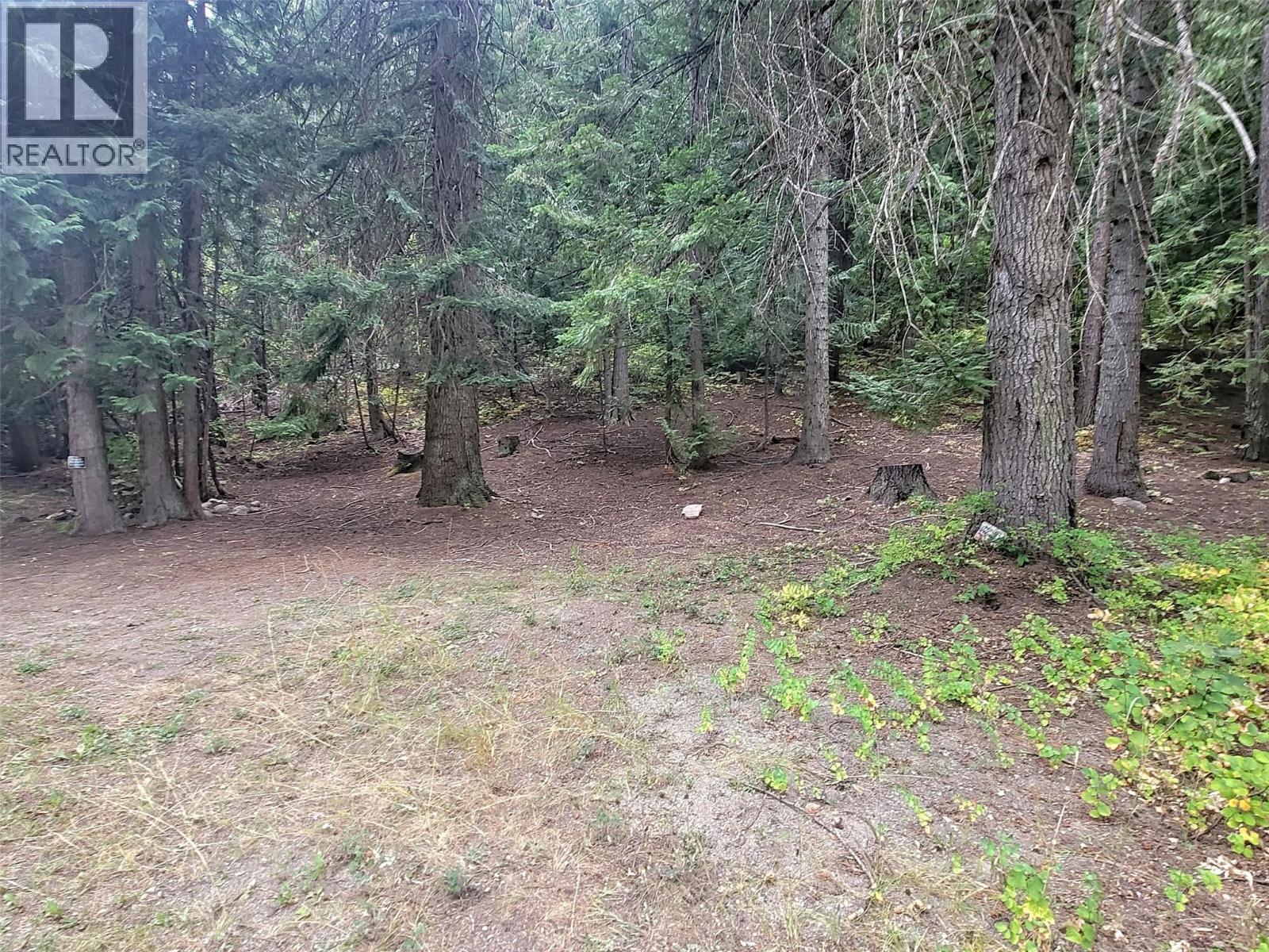 Lot A Maclure Avenue, Salmo, BC