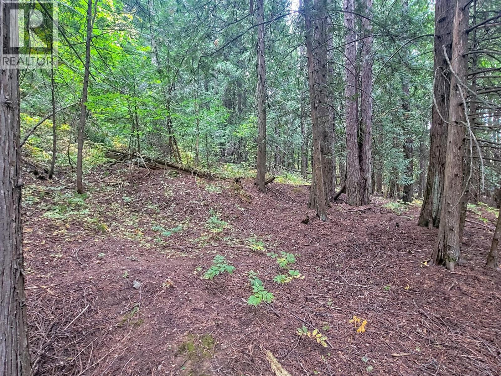 Lot A Maclure Avenue, Salmo, BC