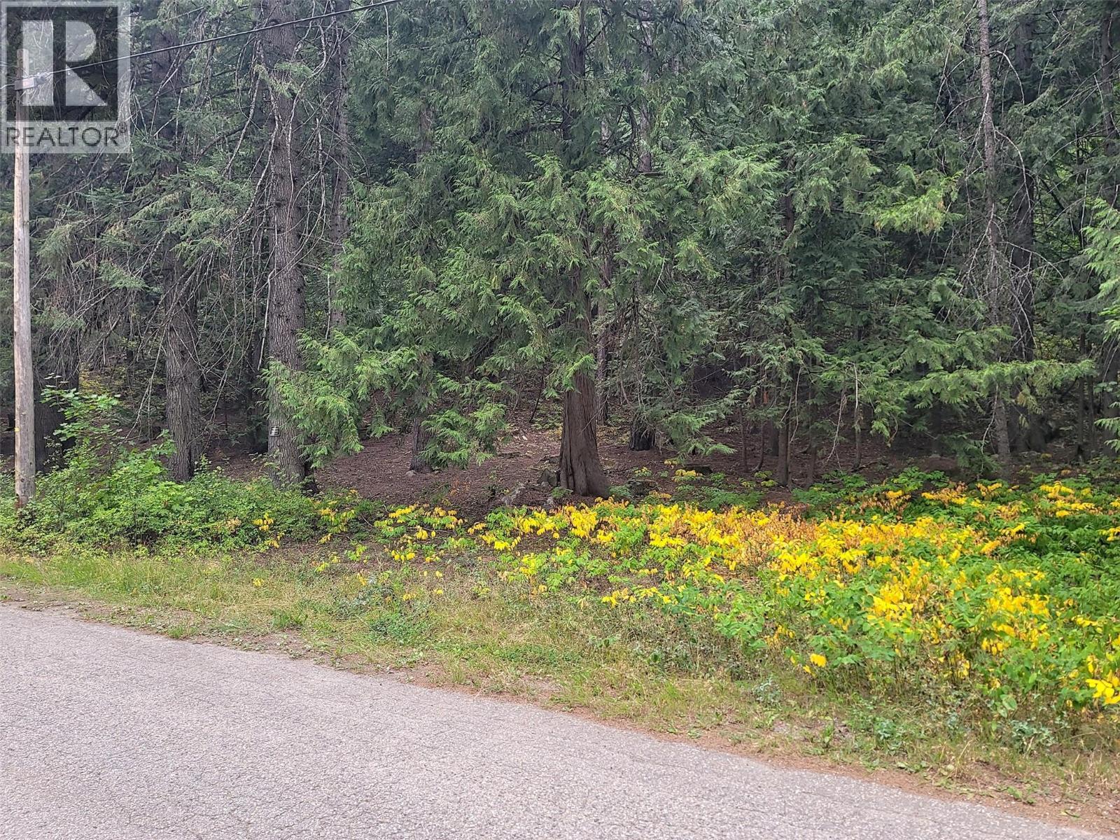 Lot A Maclure Avenue, Salmo, BC