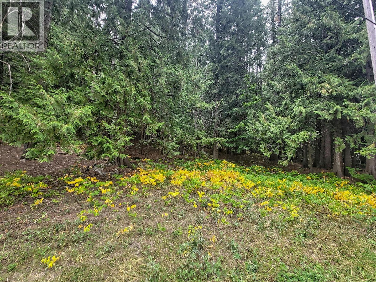 Lot A Maclure Avenue, Salmo, BC