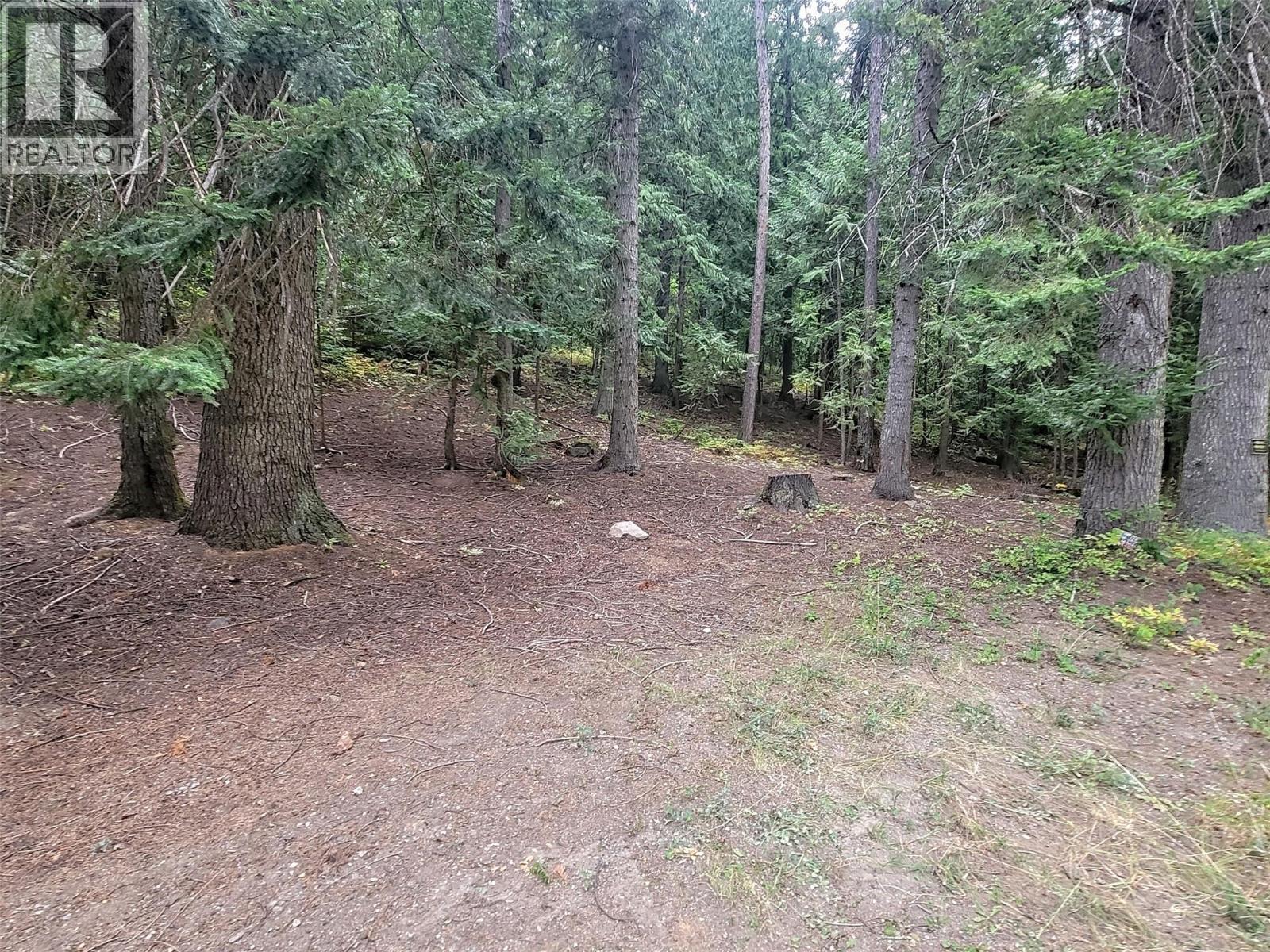 Lot A Maclure Avenue, Salmo, BC