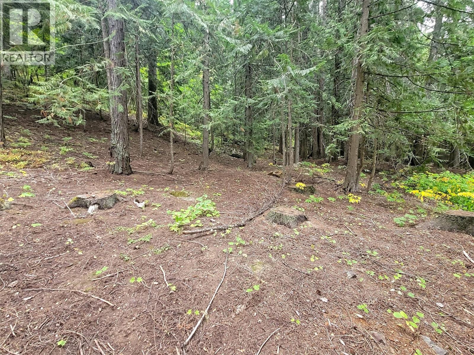 Lot A Maclure Avenue, Salmo, BC