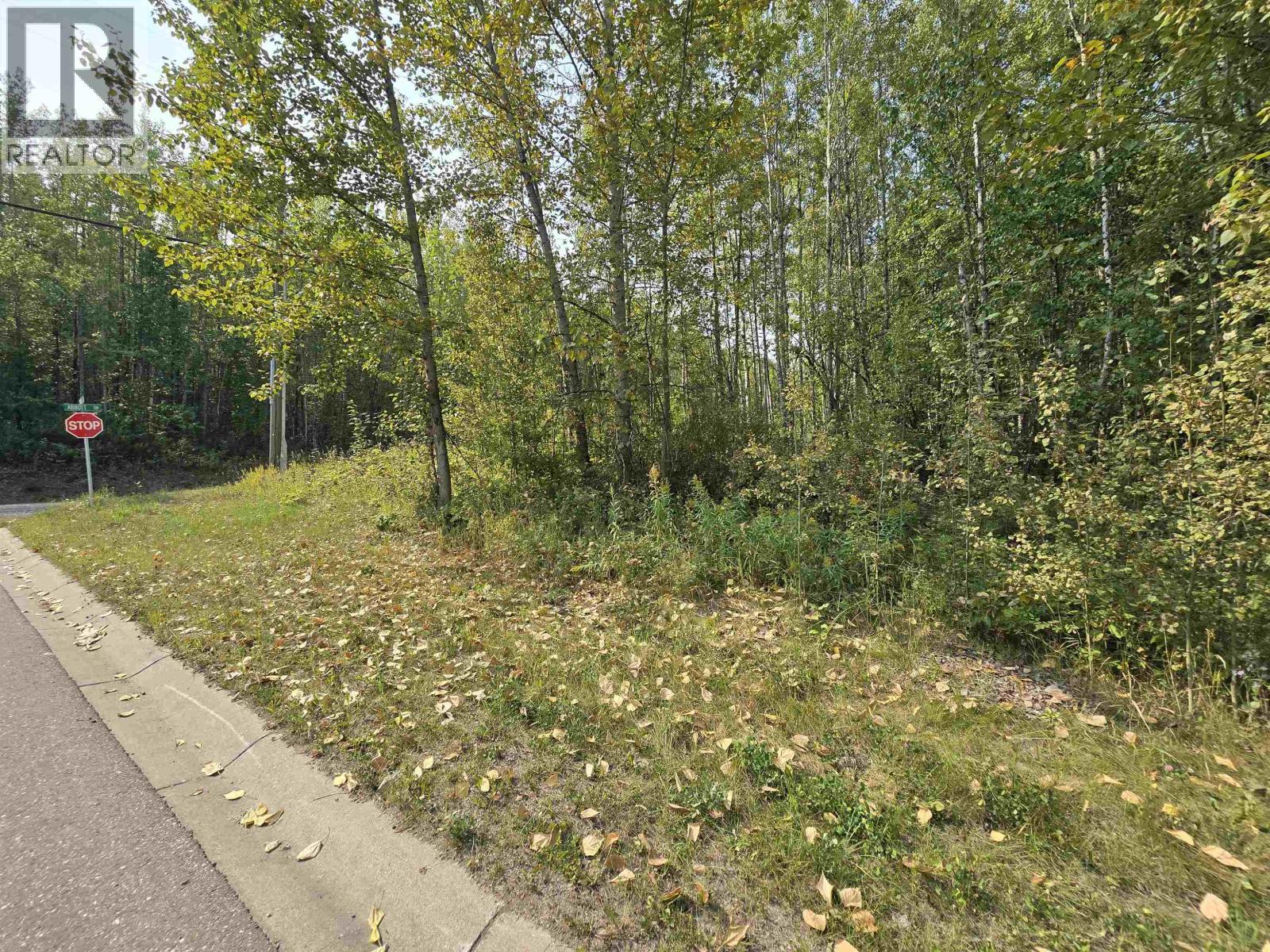 Lot 17 Dawson Street, Quesnel, BC