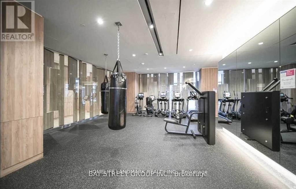 1113 - 27 Bathurst Street, Toronto, ON - Indoor Photo Showing Gym Room