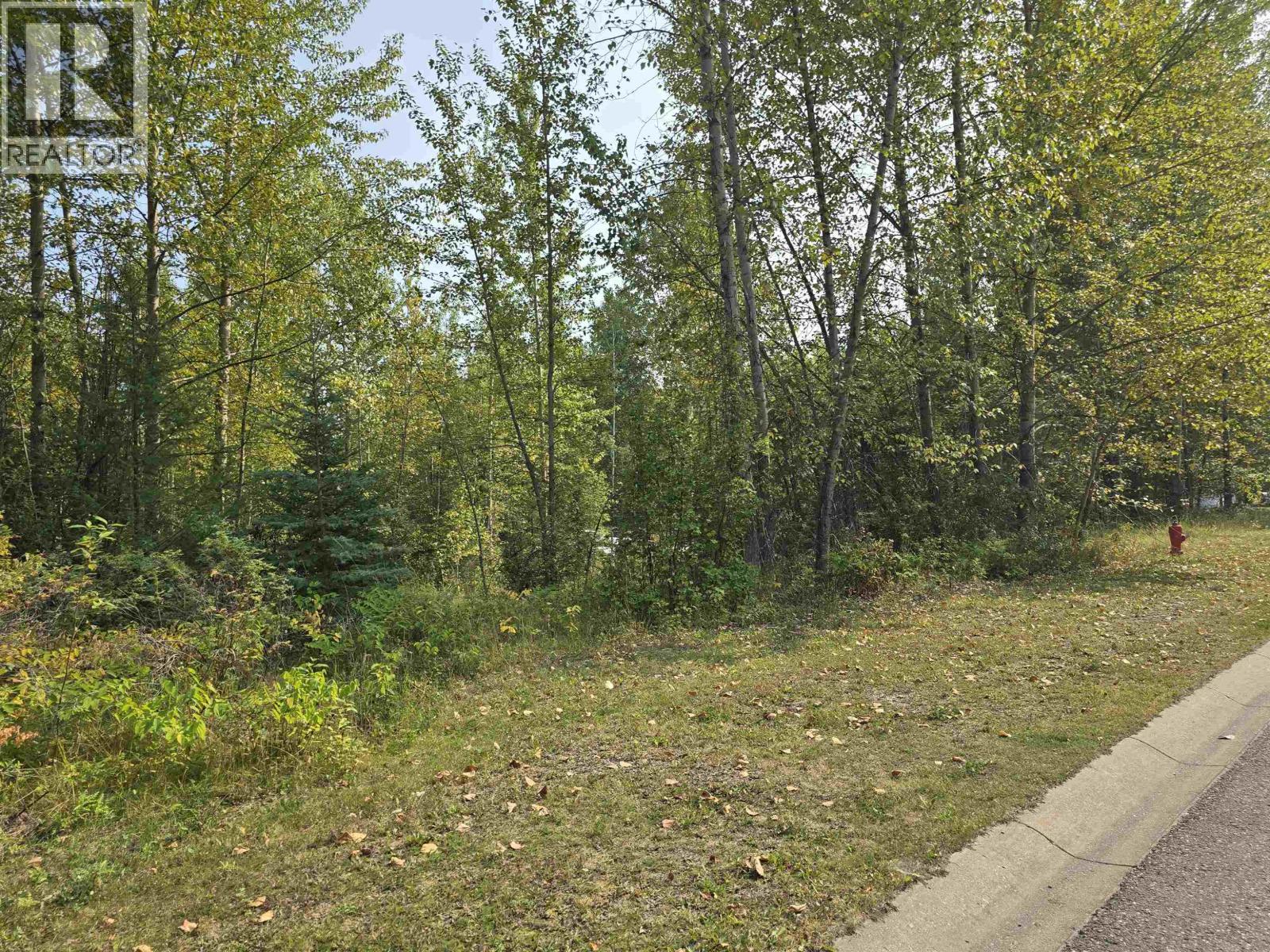 Lot 9 Dawson Street, Quesnel, BC