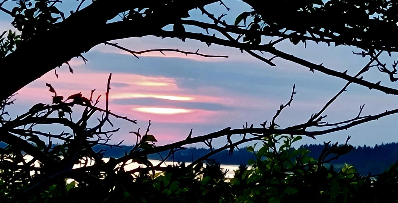 180 Julias Road, Midgell, PE