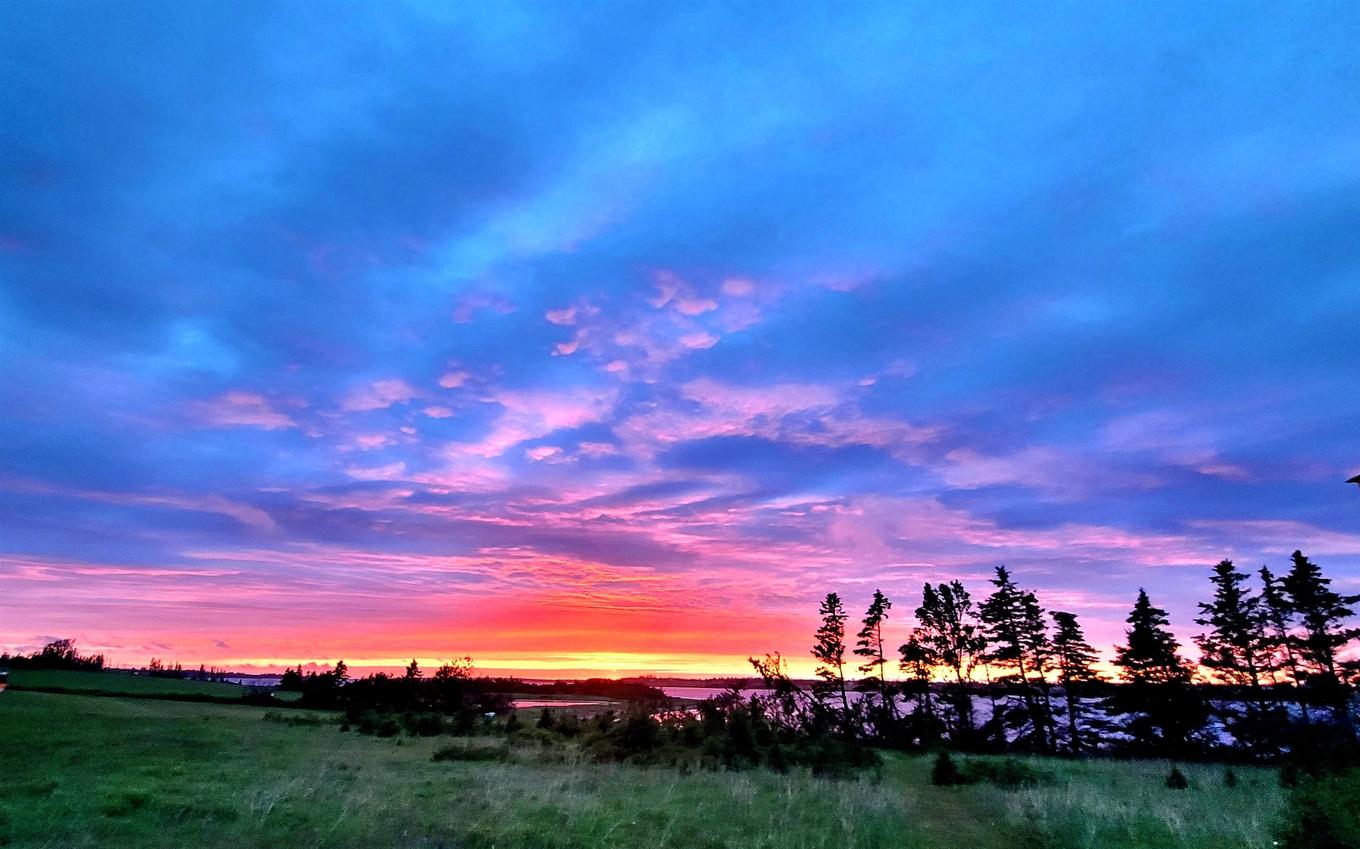 180 Julias Road, Midgell, PE