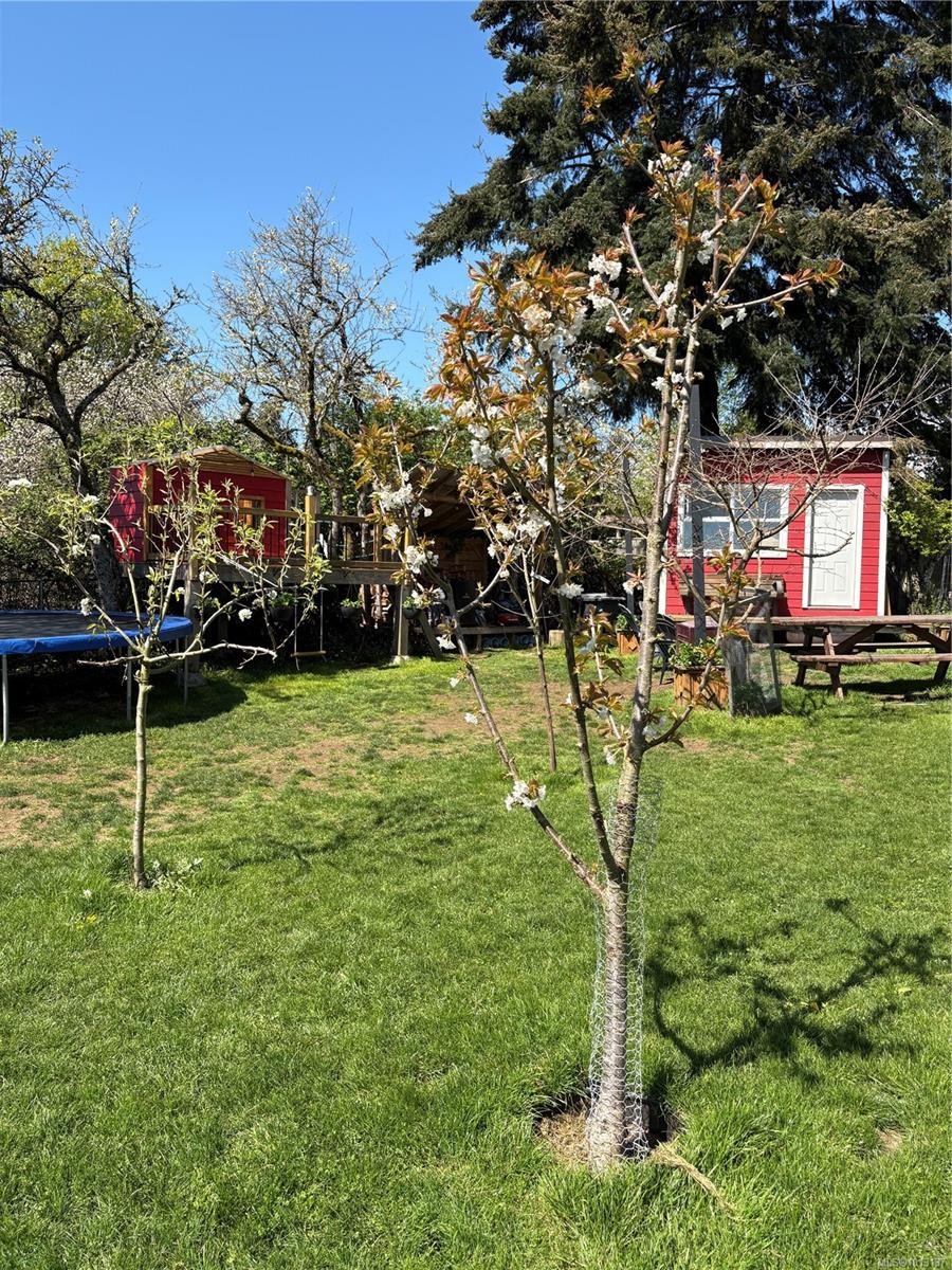 6716 Ayre Rd, Sooke, BC