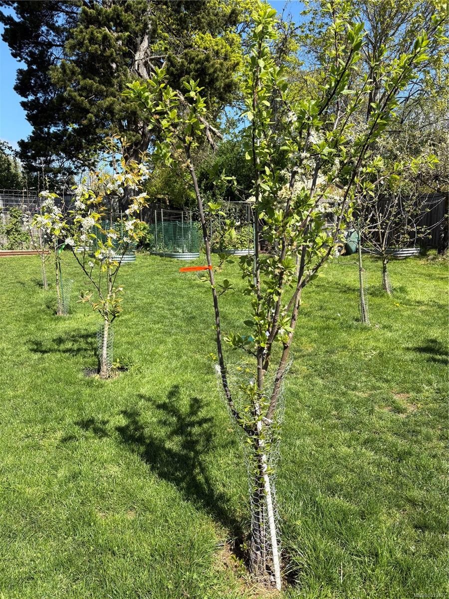 6716 Ayre Rd, Sooke, BC