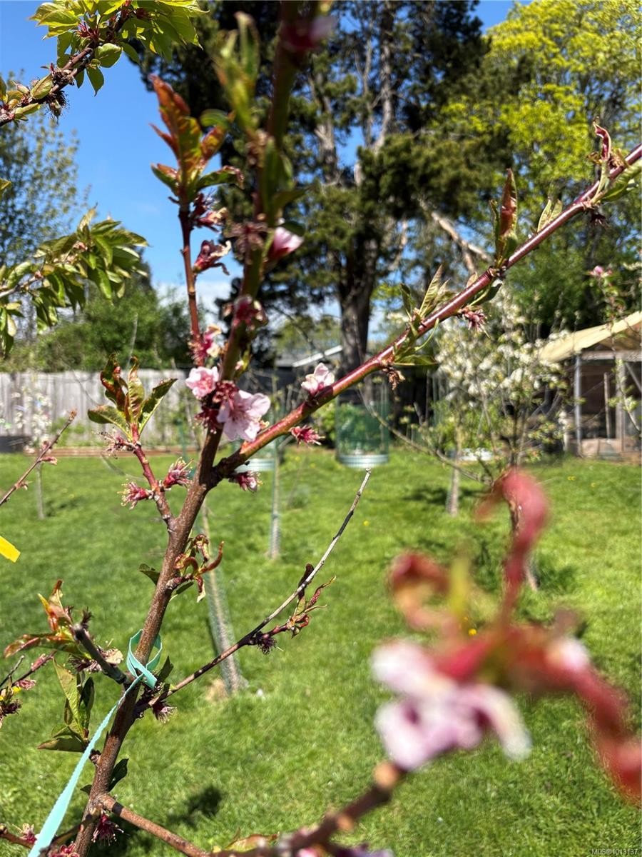 6716 Ayre Rd, Sooke, BC