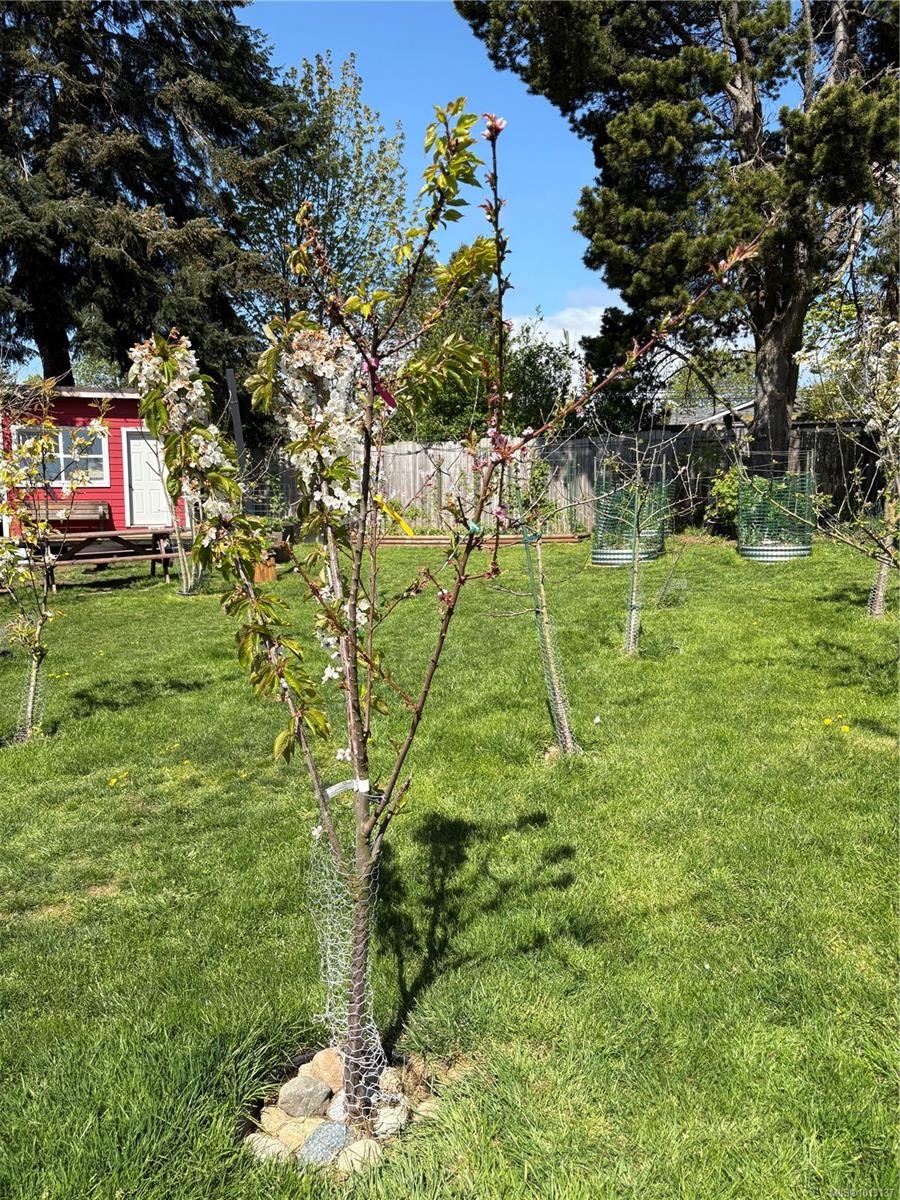 6716 Ayre Rd, Sooke, BC