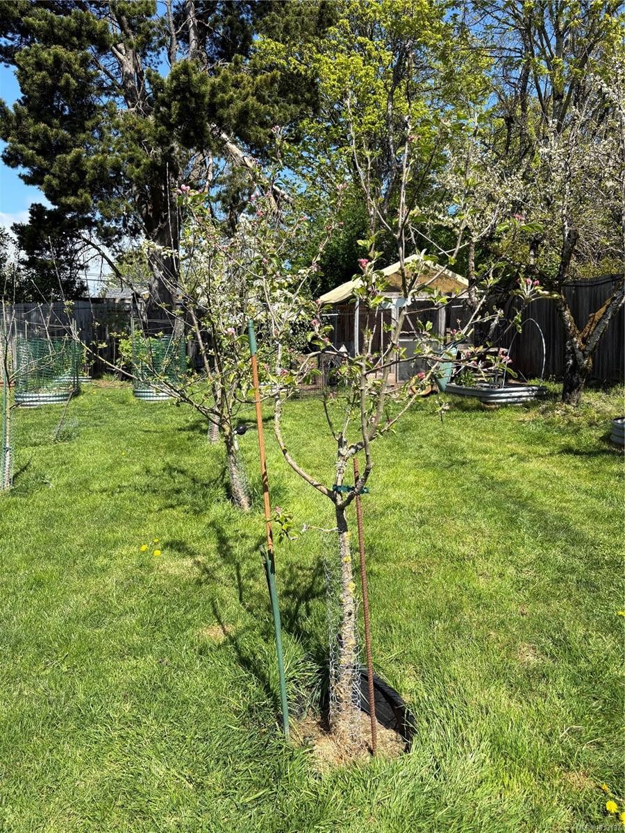 6716 Ayre Rd, Sooke, BC