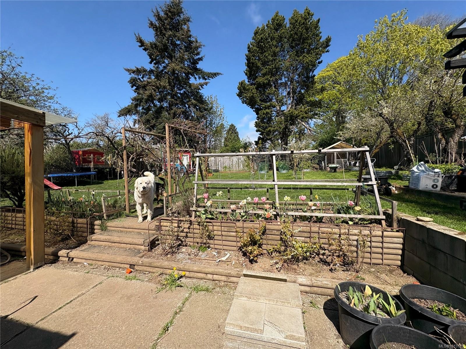 6716 Ayre Rd, Sooke, BC