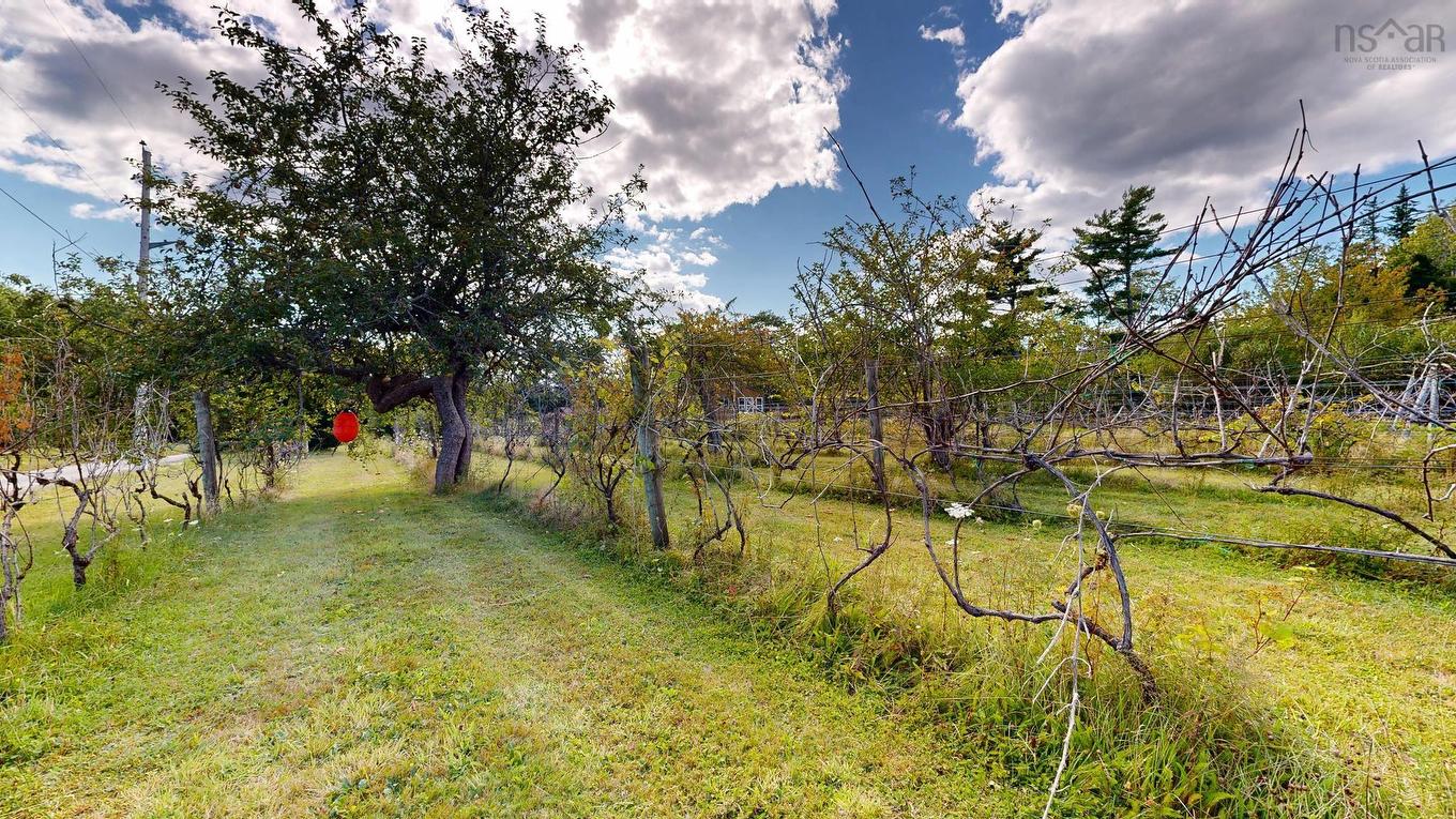 1214 Old Port Mouton Road, White Point, NS