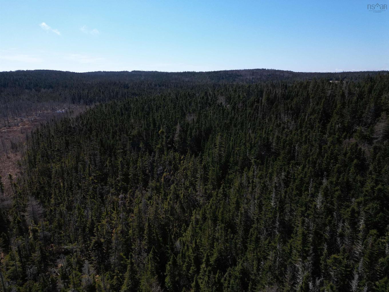 Lot Highway 320, D'Escousse, NS