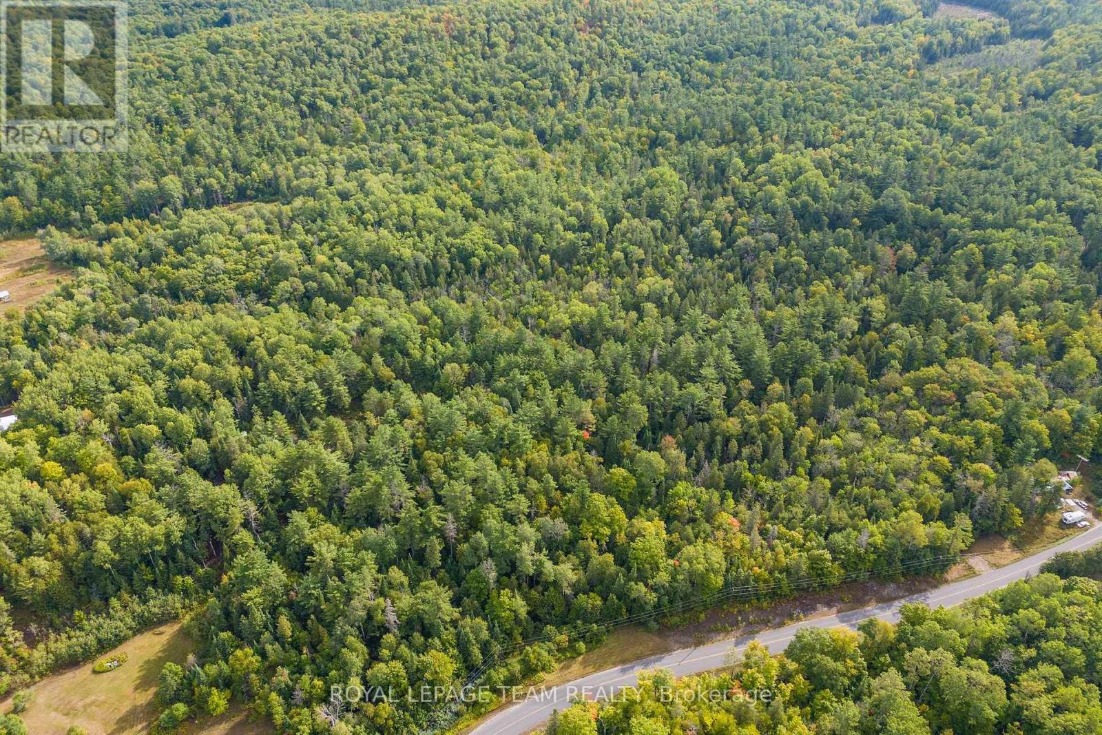 Looking East - 1418 French Line Road, Lanark Highlands, ON