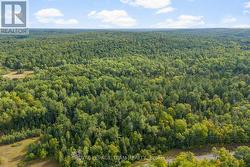 Looking North East -