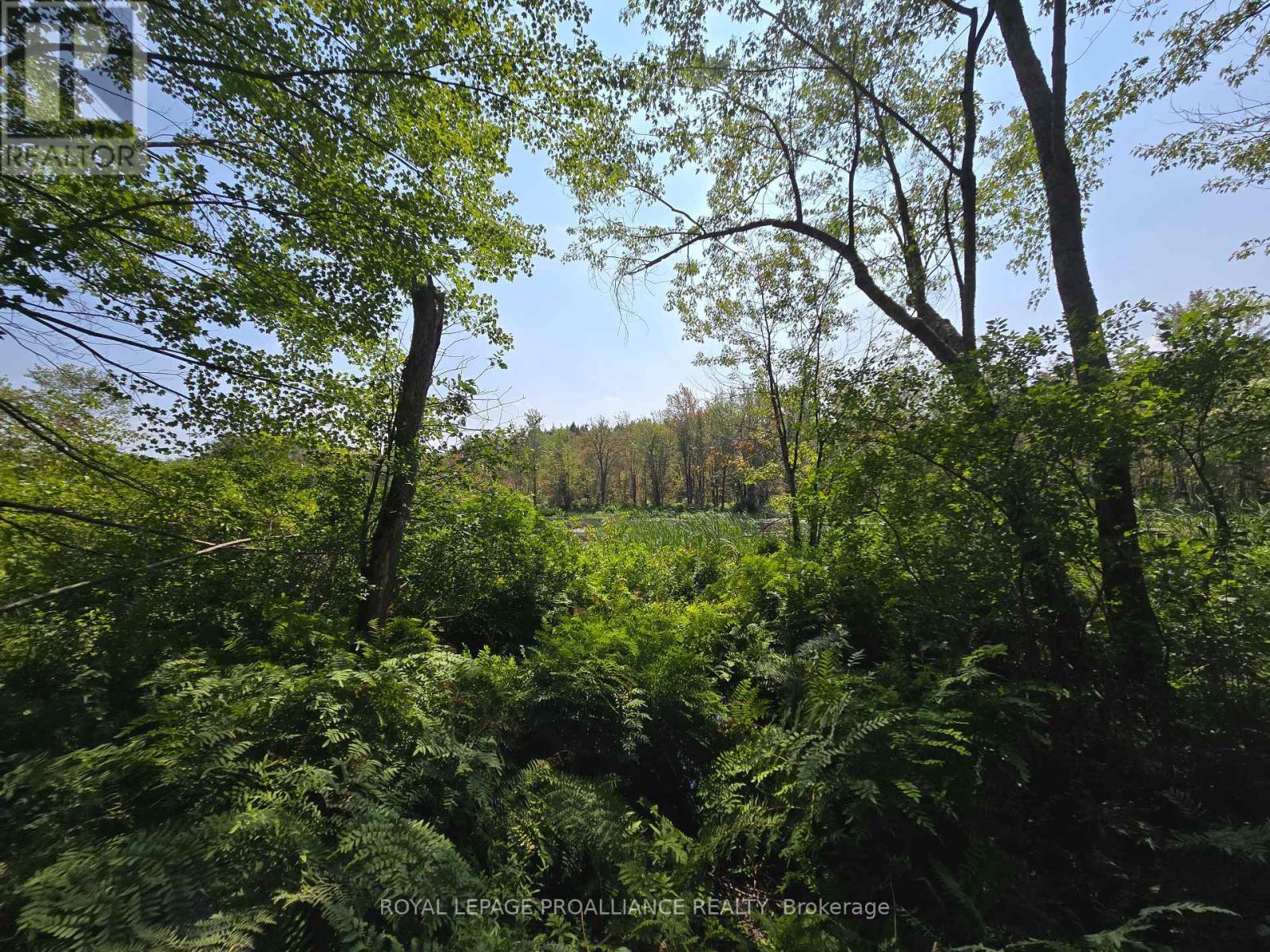 1255 Blue Heron Ridge, Central Frontenac (Frontenac Centre), ON